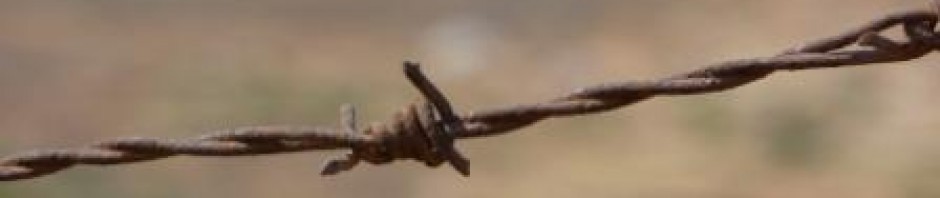 cropped-cropped-webpage1